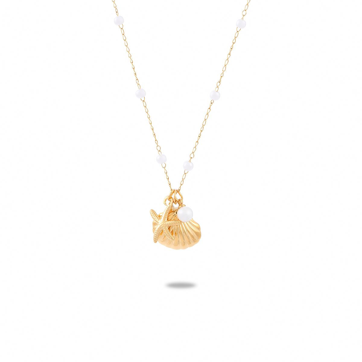 Starfish Scallop Shell Set