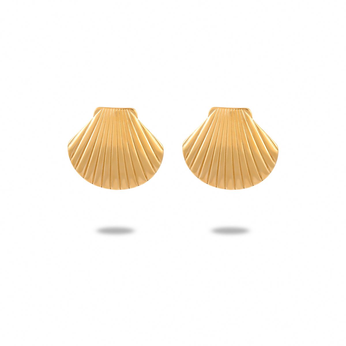 Starfish Scallop Shell Set